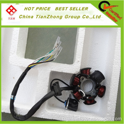 Motorcycle Magneto /Stator Coil
